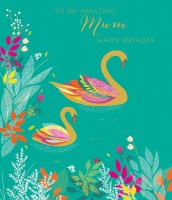 Amazing Mum Birthday Card By Sara Miller London
